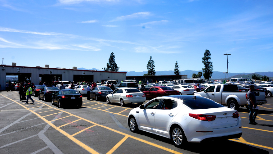 Manheim-Vehicles Lined Up for Sale-2 (1)